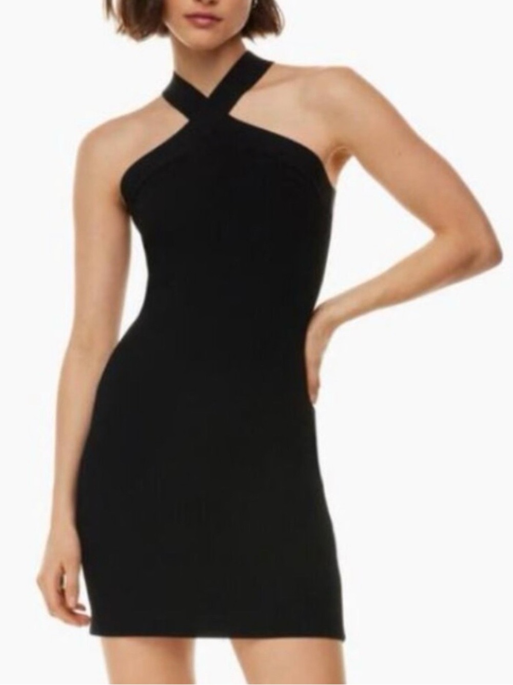 Aritzia babaton sculpt knit dress